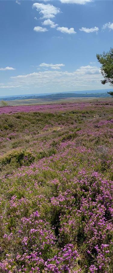 Bed and Breakfast Floyter House North Yorkshire Moors National Park Danby Экстерьер фото