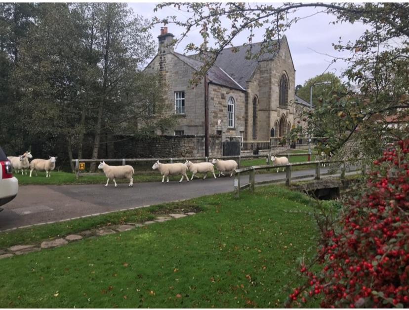 Bed and Breakfast Floyter House North Yorkshire Moors National Park Danby Экстерьер фото